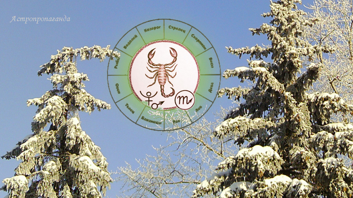 Гороскоп для Скорпиона с 29 декабря 2025 по 1 февраля 2026. 