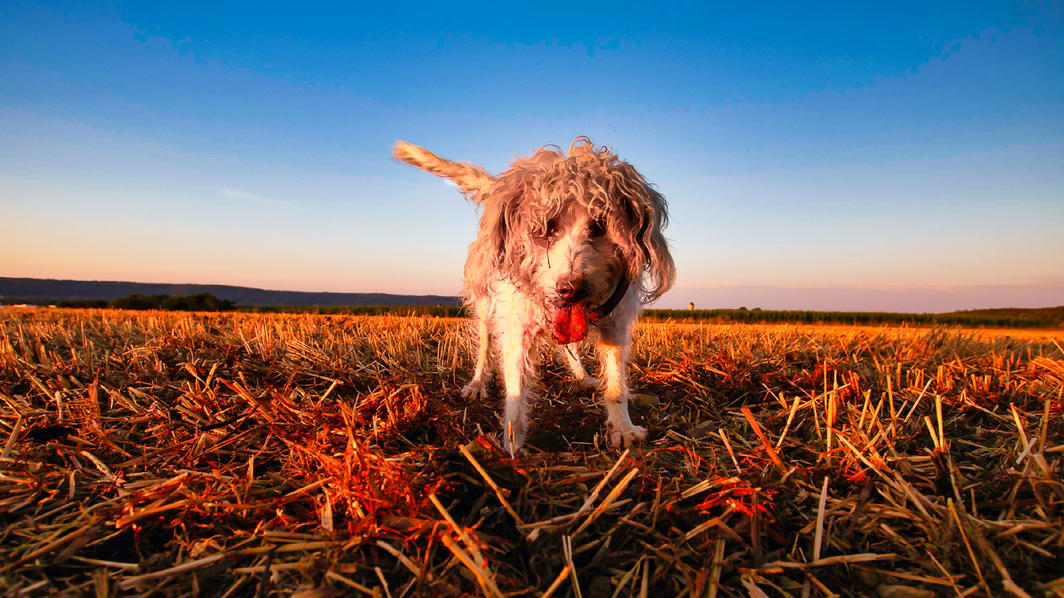 Фото из сети Интернет