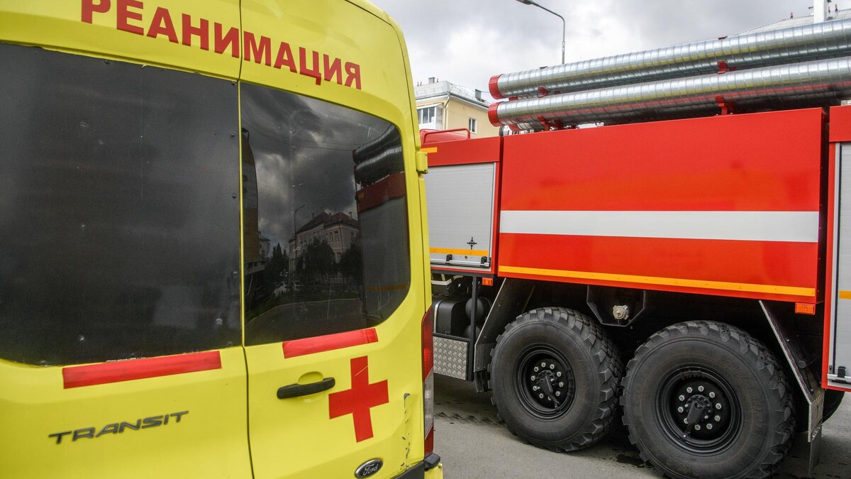    Фото: Ilya Moskovets/URA.RU