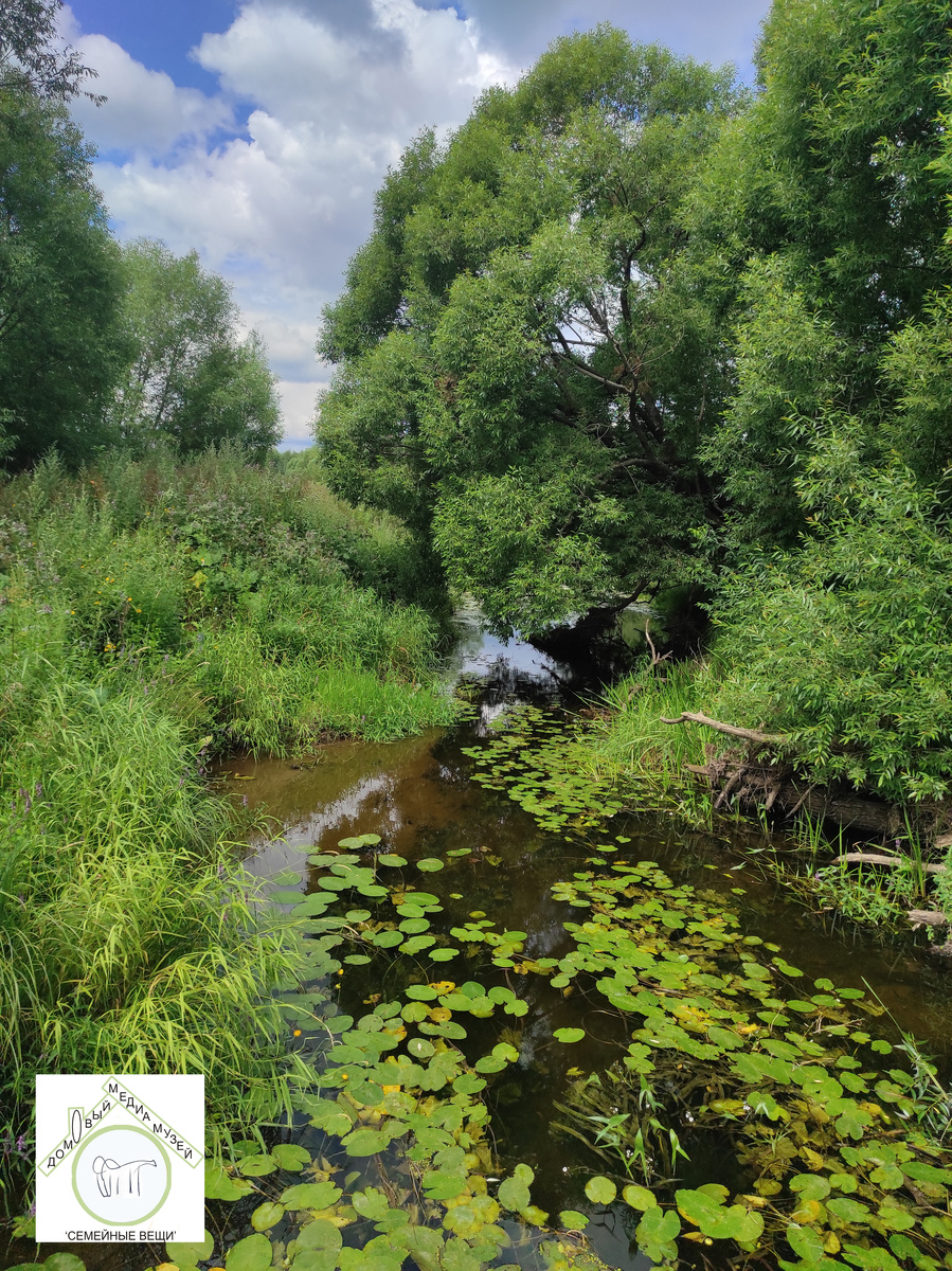 Вятские пейзажи. Фото из личного архива автора канала