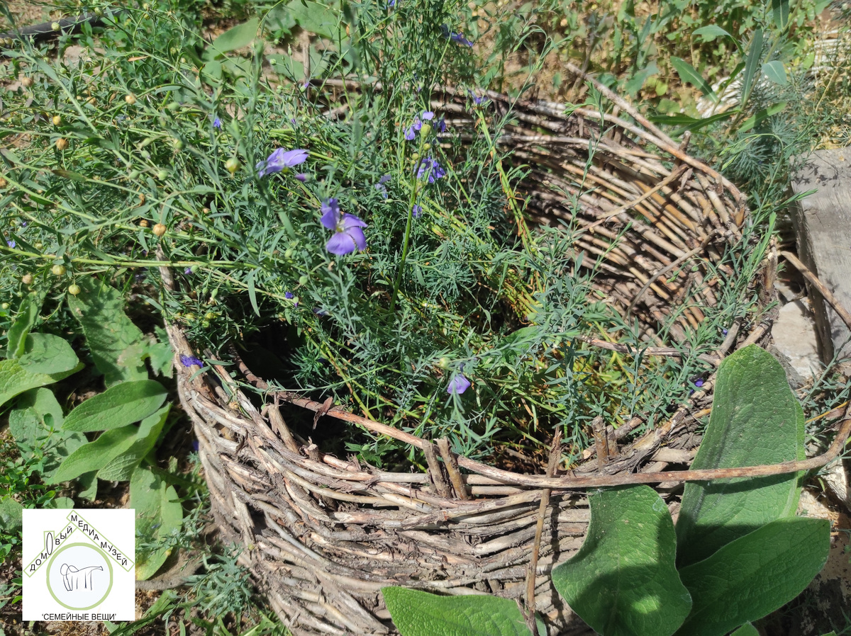 Вятские пейзажи. Фото из личного архива автора канала