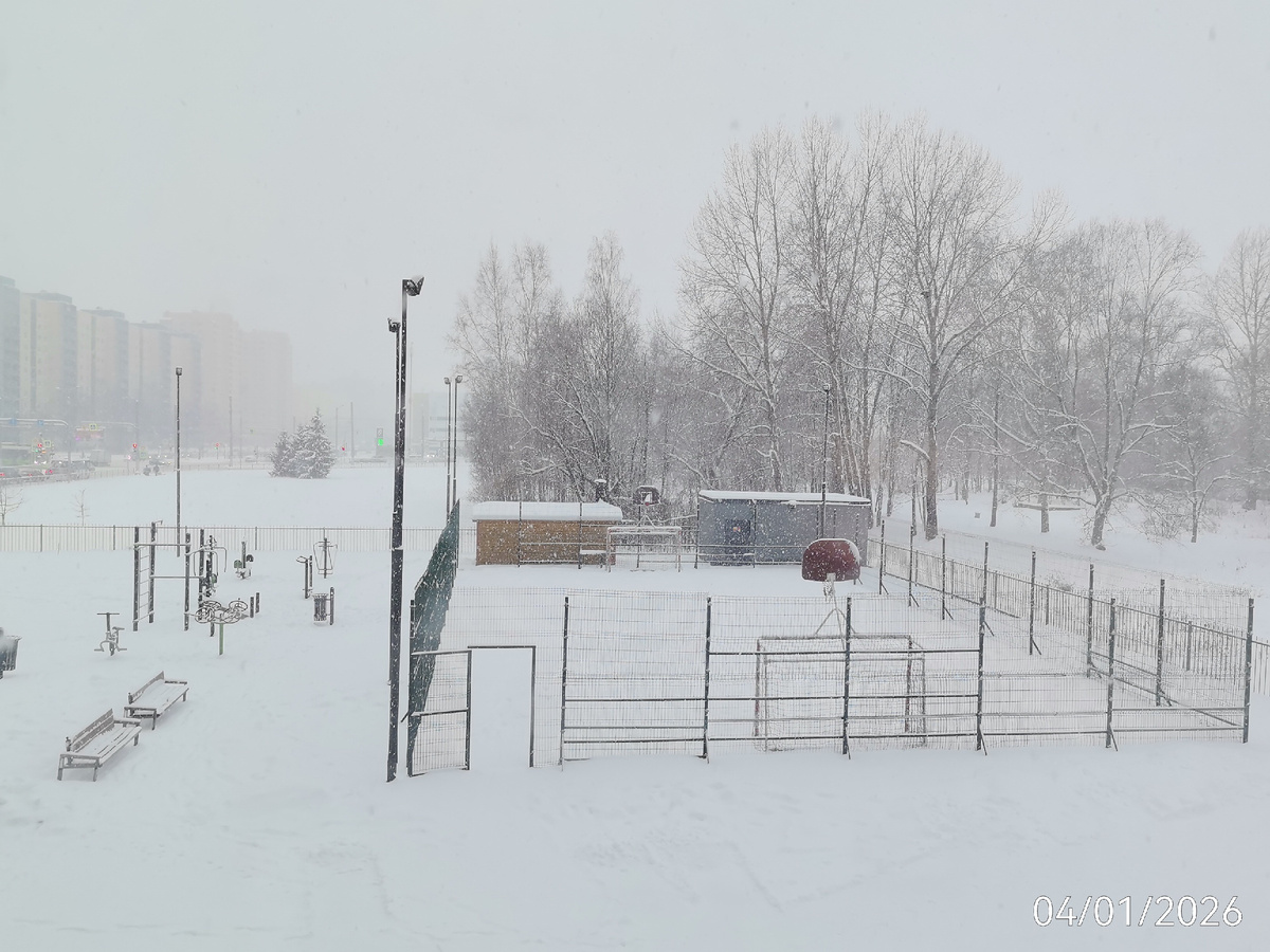 В Санкт-Петербурге снега навалило
