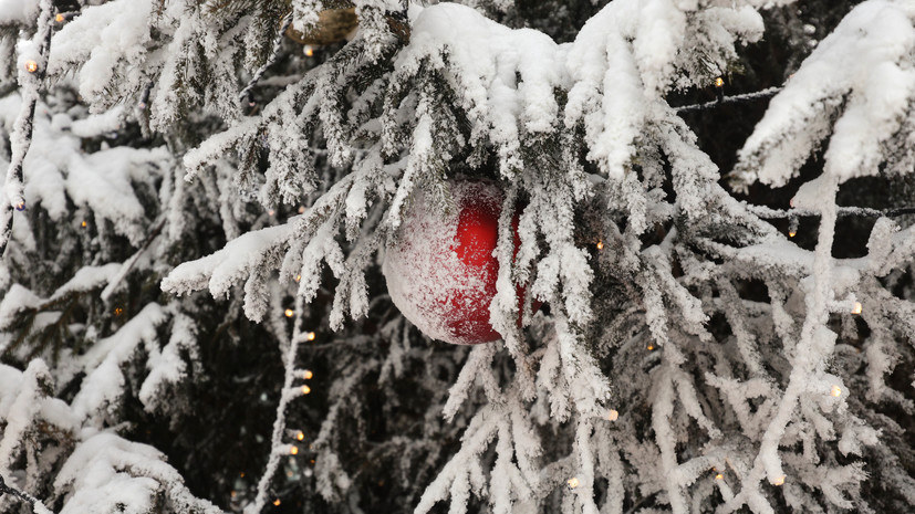   globallookpress.com Andrey Titov