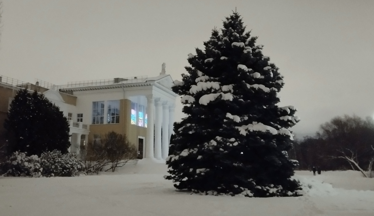 Январь в Ботаническом саду.