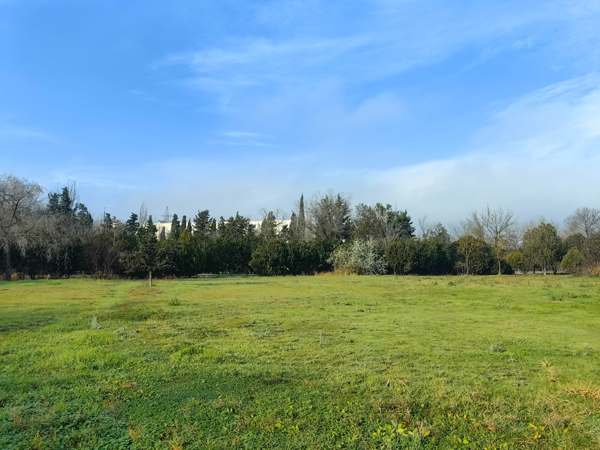 Сегодня. Фото автора канала