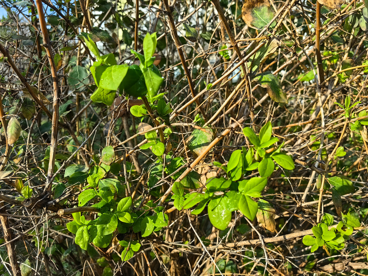 Сегодня. Фото автора канала