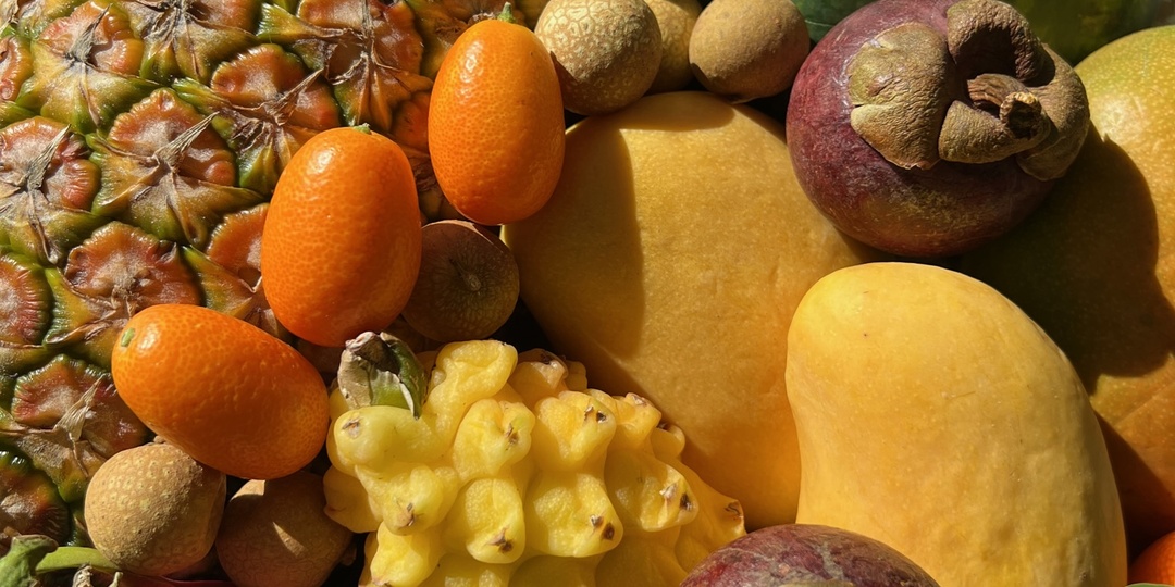 Сегодня Международный разгрузочный день. Как помочь организму после праздников?