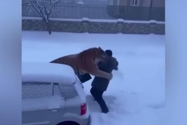 Обложка © Telegram / МинПрироды25