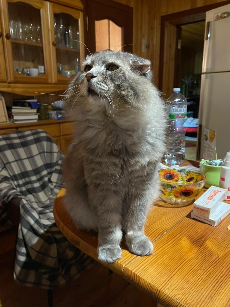 Там за окном так интересно! Везде фото автора.