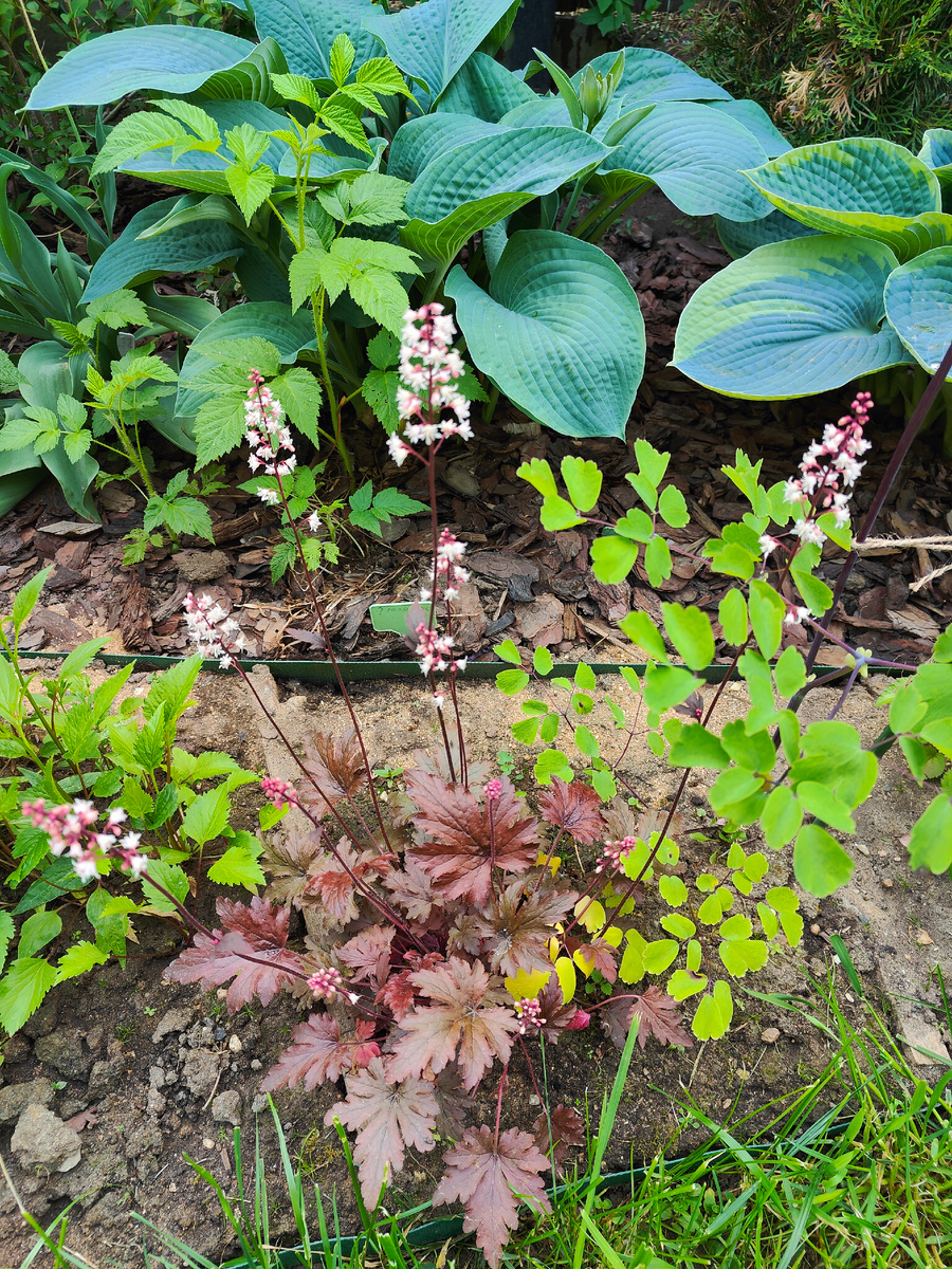 Начало июня.