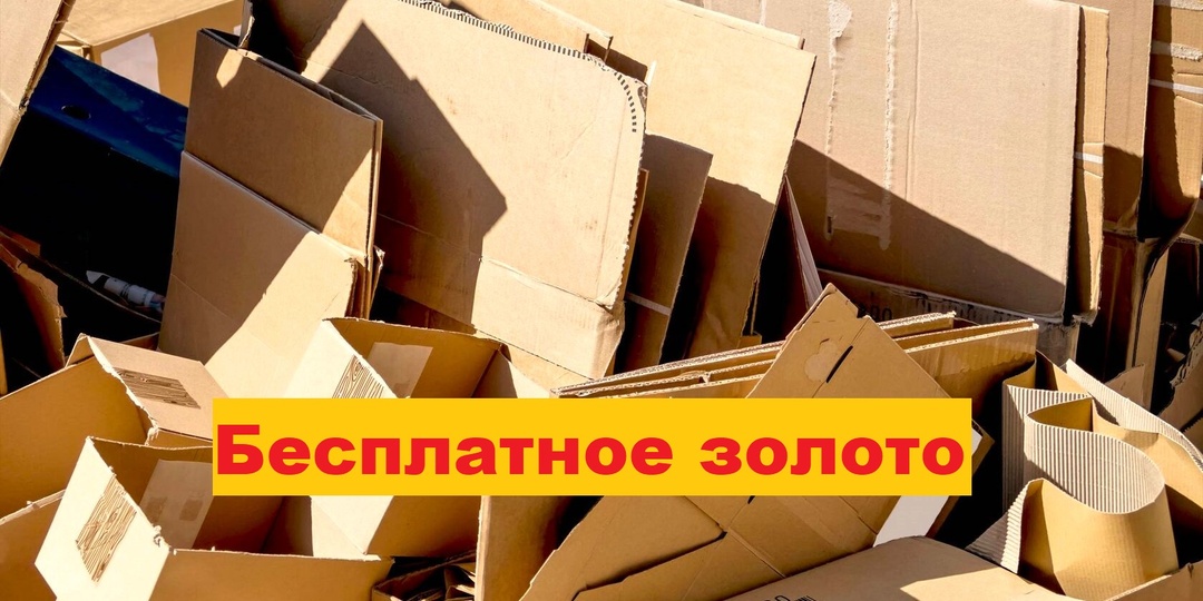 Бесплатный картон из магазина увеличивает урожай в 2 раза и еще 7 способов применения на экономной даче