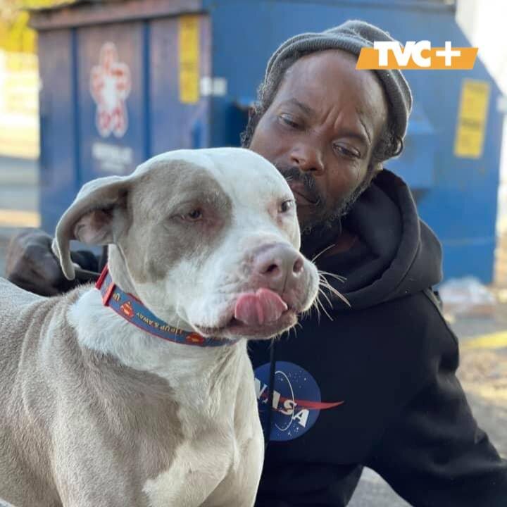 Кейт и спасённая собака.