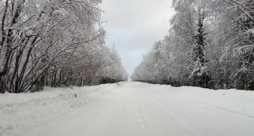    Фото из архива Pro Города