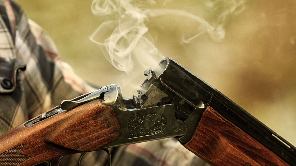    Фото: SVshot/Shutterstock/Fotodom