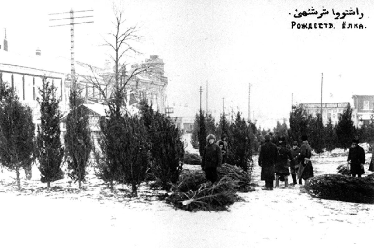    Елочный базар на Фроловской