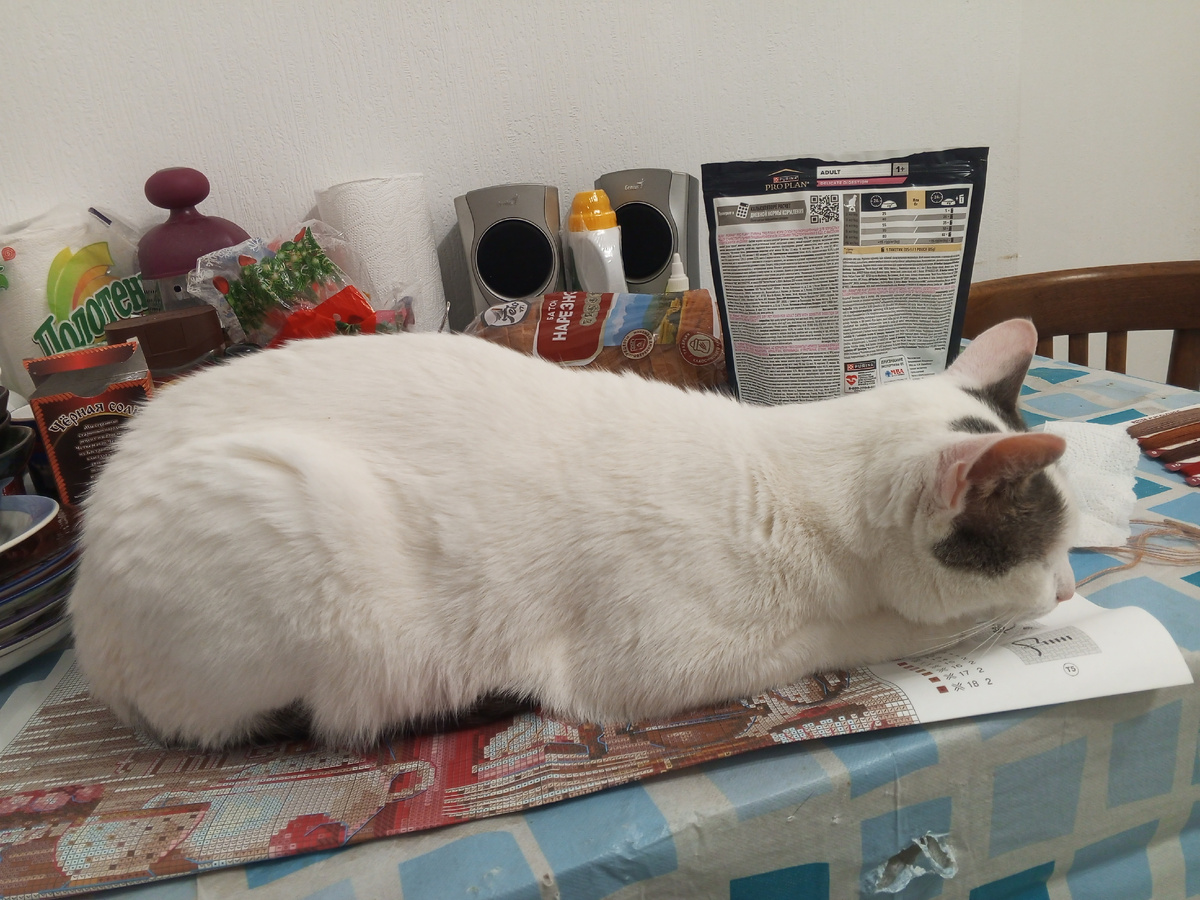 Колыбельную только не пой, дай поспать, хорошо?