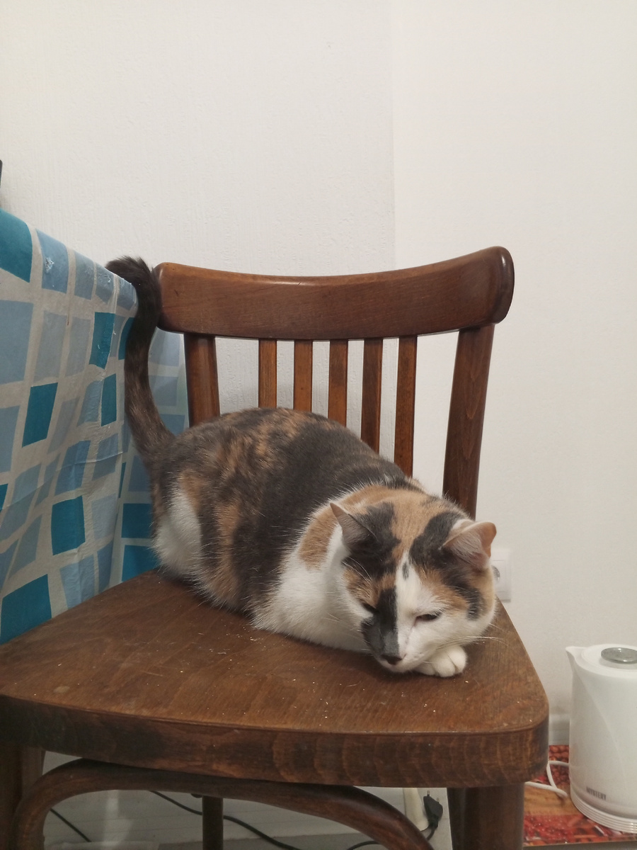 Да, мне тоже не пой, - попросила Дейзи.