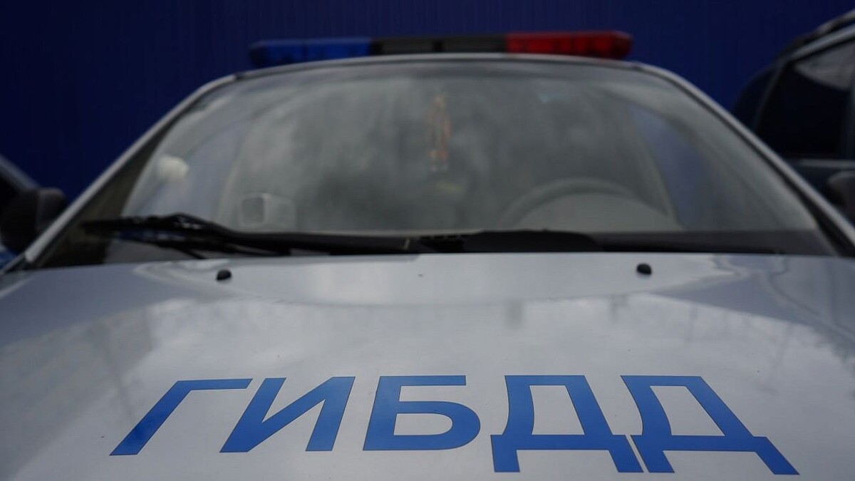    Фото: телеканал «Краснодар»