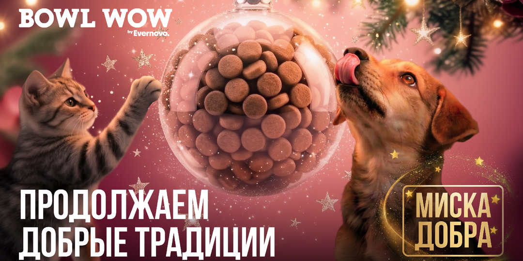 В Новом году продолжаем добрые традиции и создаём новые