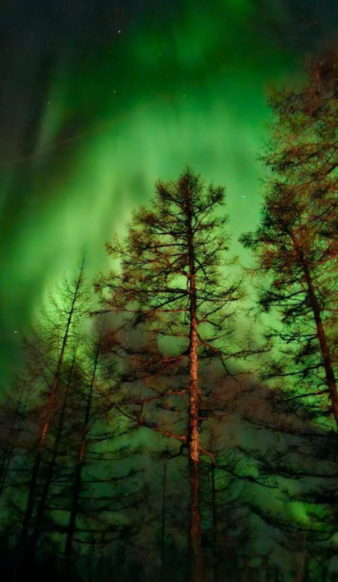 Из личного архива