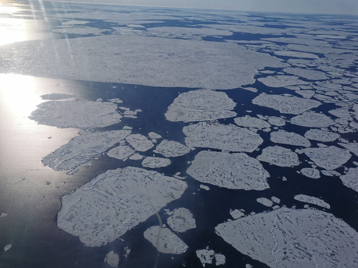 Фото: Анна Тимофеева, ААНИИ