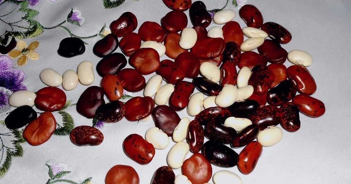 Кумалак ашу - искусство гадания на бобах. Распространено в Казахстане 