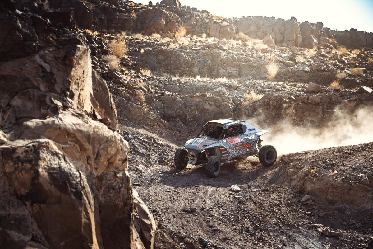 Фото: Сергей Ременник  📷
