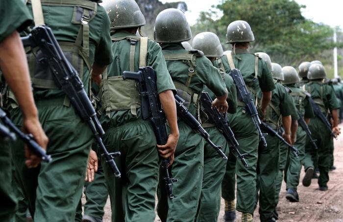 Обложка © Shutterstock / FOTODOM / Humberto Matheus