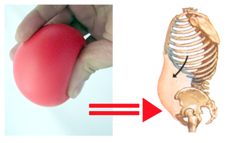 фото из интернета