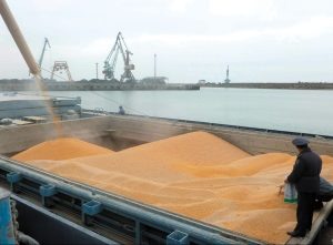 Фото пресс-службы Россельхознадзора