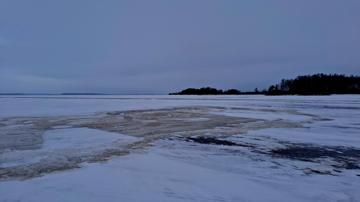 Рыбинское водохранилище. Каргач.