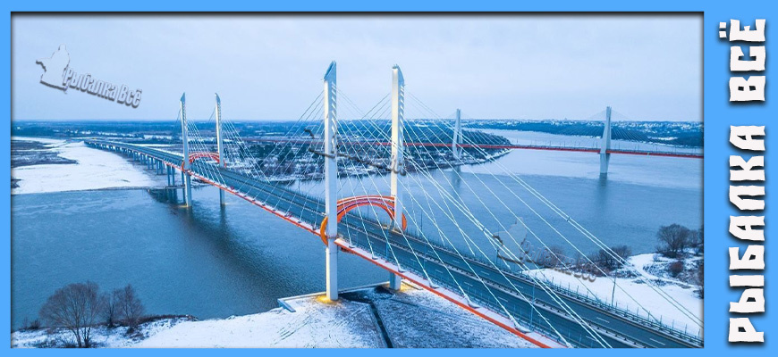 Гиганты реки Ока: Кто скрывается в глубинах под мостами?