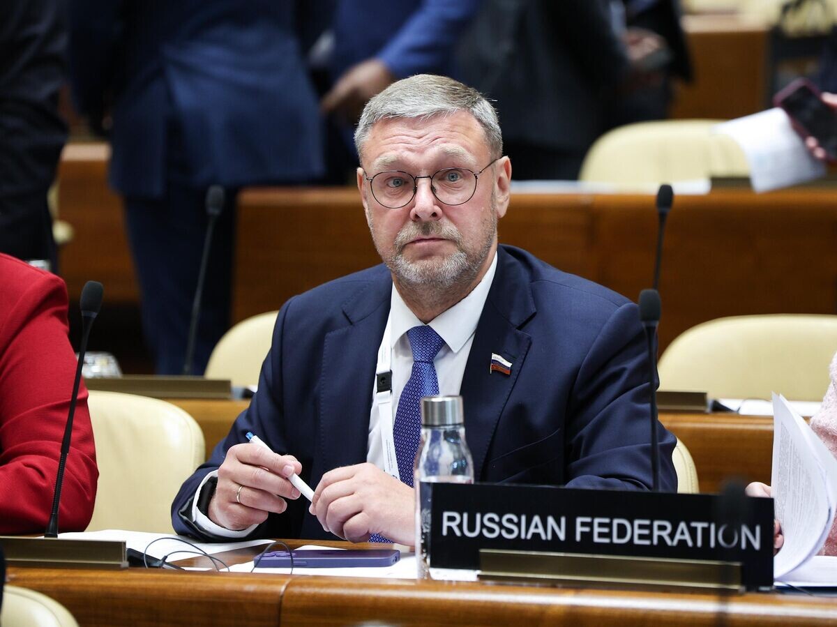    Заместитель председателя Совета Федерации РФ Константин Косачев на 15-м Саммите женщин – председателей парламентов в Женеве | © РИА Новости / Пресс-служба Совета Федерации РФ