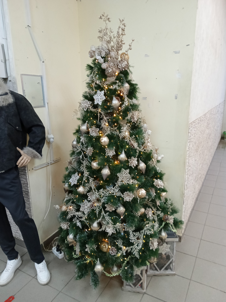 Все фото автора.