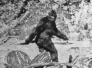 Где в СССР чаще всего встречали «снежного человека»