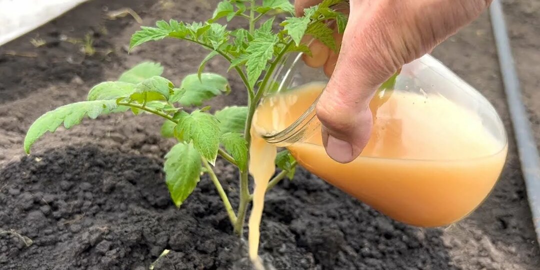 12 критичных рисков, грозящие всем дачникам в России в 2026 году