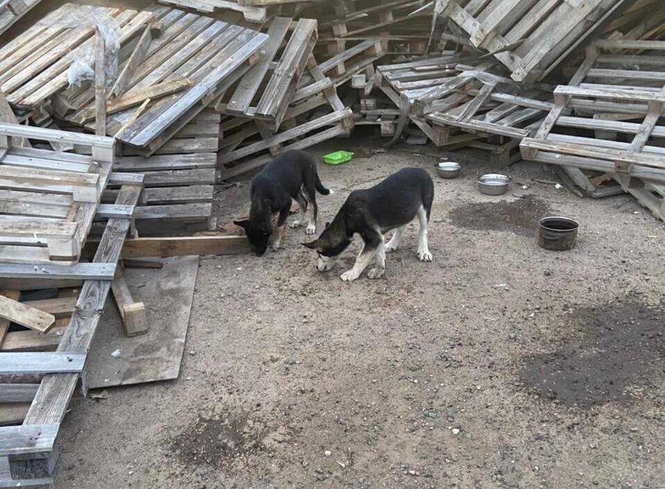 Их «необитаемый остров»