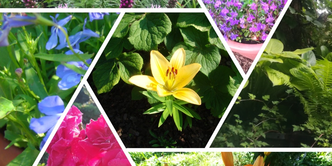 Пятилетка и один день на Дзене