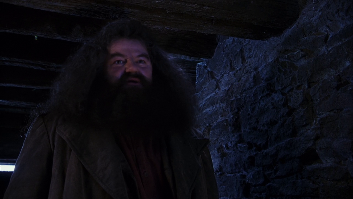 "Гарри, ты волшебник!" - по своей эпичности ненамного уступает великому "Люк, я твой отец". Кадр из фильма.