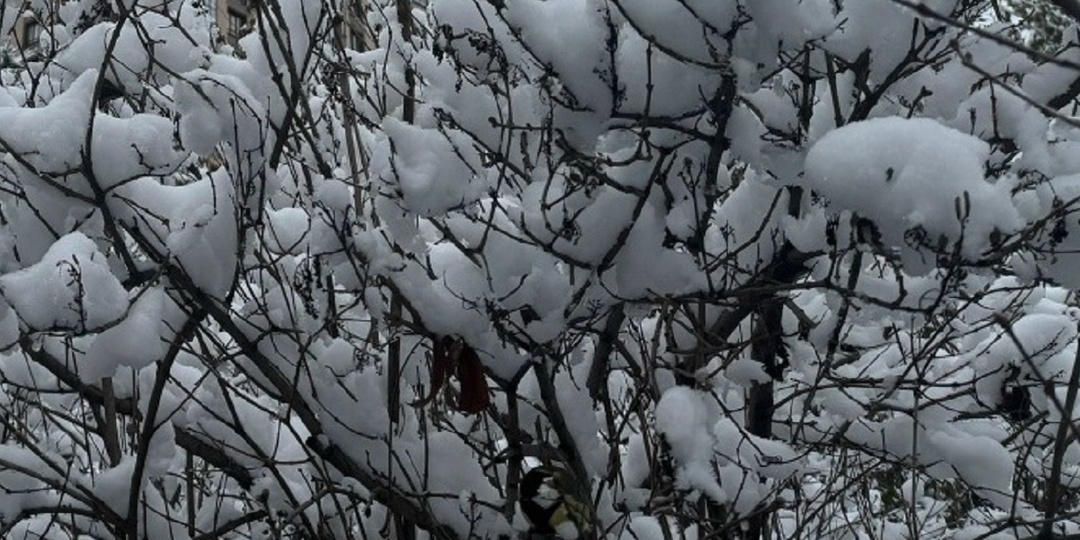 6 января в Благовещенске будет минус 18 градусов