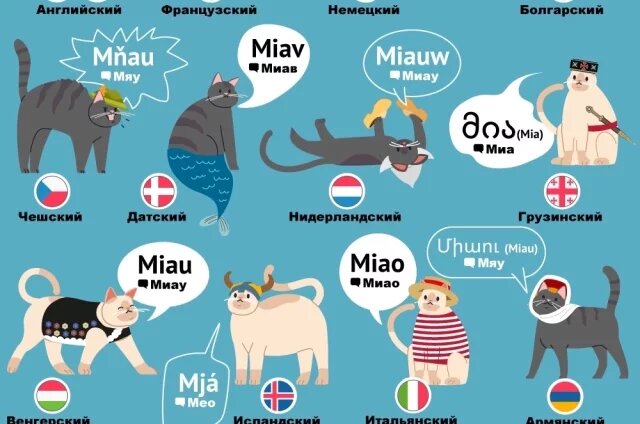    Как мяукают кошки в разных языках. Инфографика