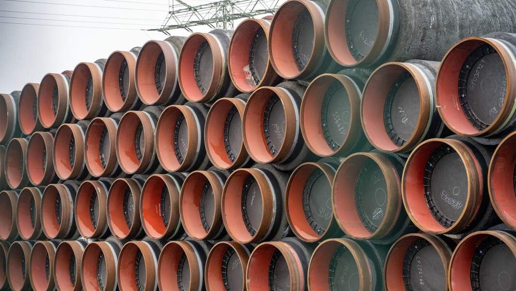    Фото: TASS/Stefan Sauer