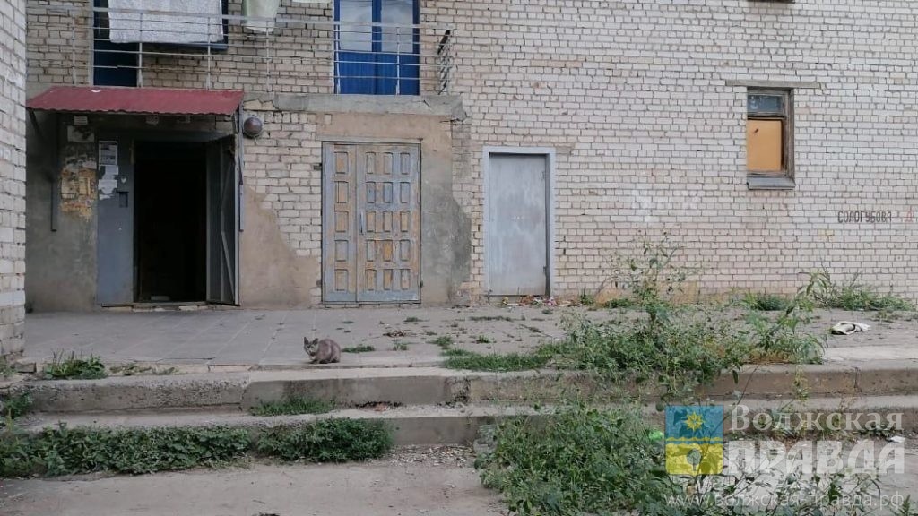 Дом на ул. Сологубова,, 56. Фото портал "Новости Волгограда"📷    Без ГВС, лифта и мусоропровода: волгоградская 9-этажка засветилась на федеральном уровне
