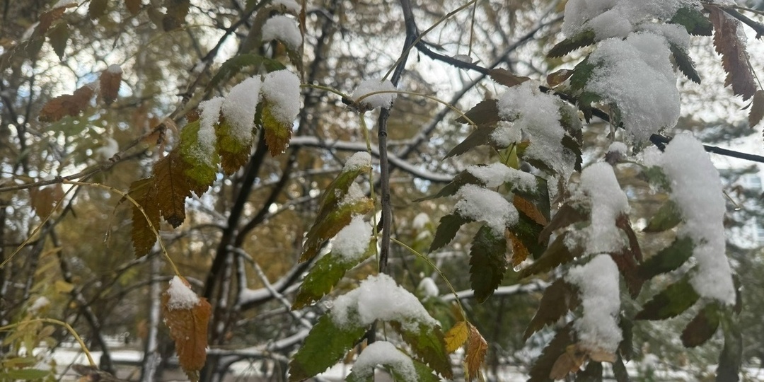 В Благовещенске коммунальные службы ведут активную борьбу со снегом
