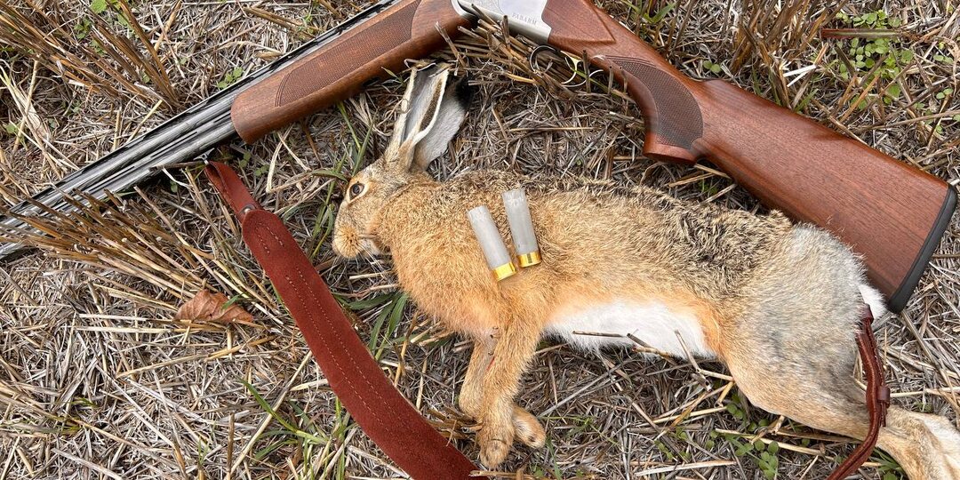 Своего зайца взял в этом сезоне