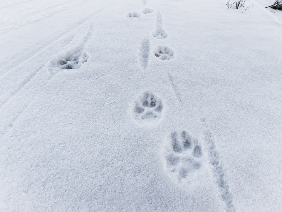    Фото: istockphoto.com/DamianKuzdak