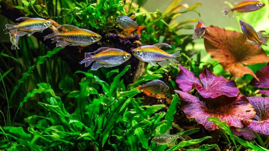    Фото: Getty Images/IURII BUKHTA