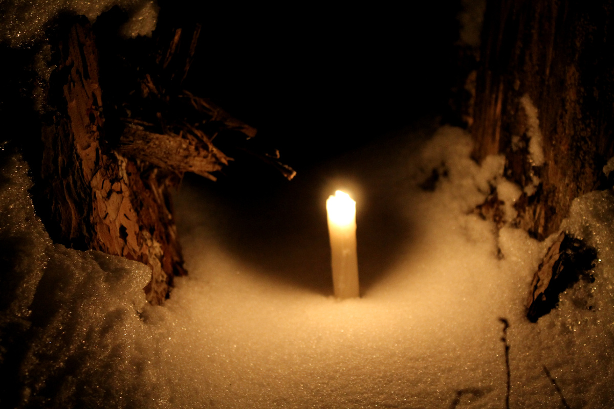 Фото автора.