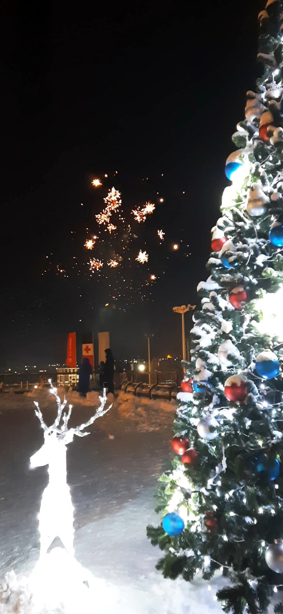 Ёлка около ледовой арены ЖК