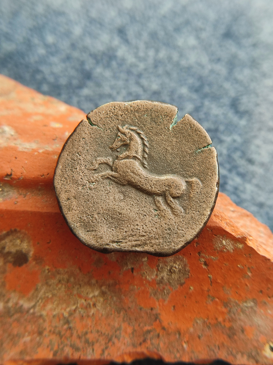 Античная монета нумидийского царства